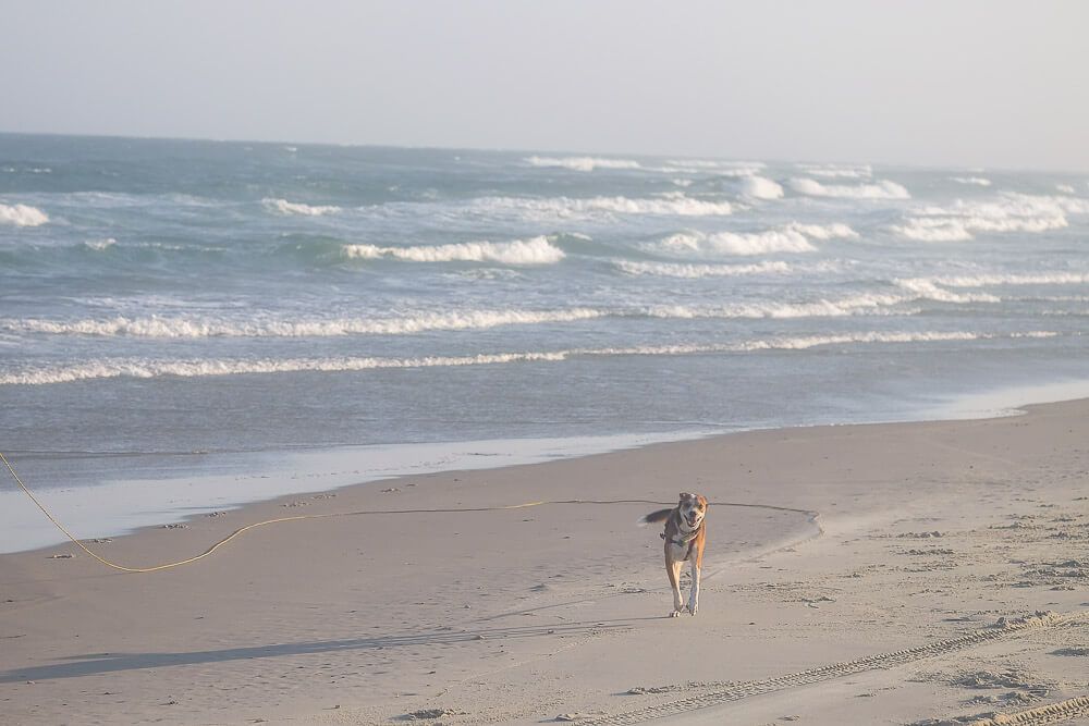 ocracoke beach