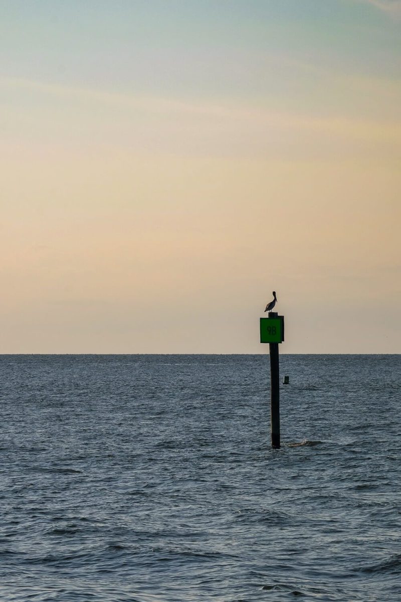 Plan Your Beach Trip to Ocracoke [Dog Friendly Guide]