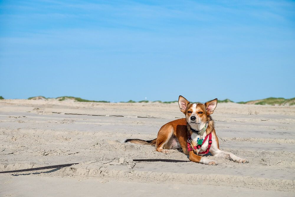 ocracoke beach