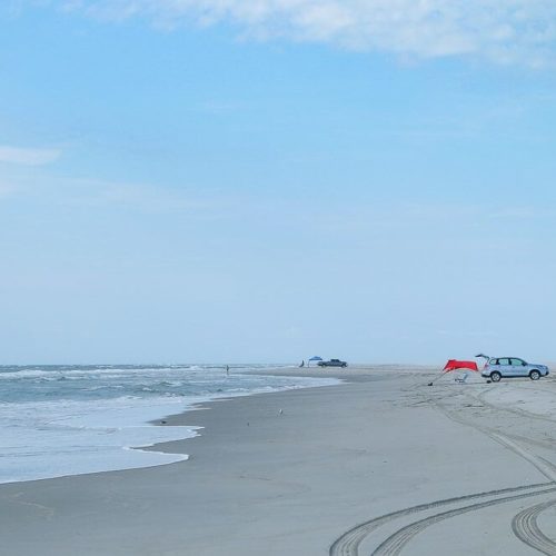 Plan Your Beach Trip to Ocracoke [Dog Friendly Guide]