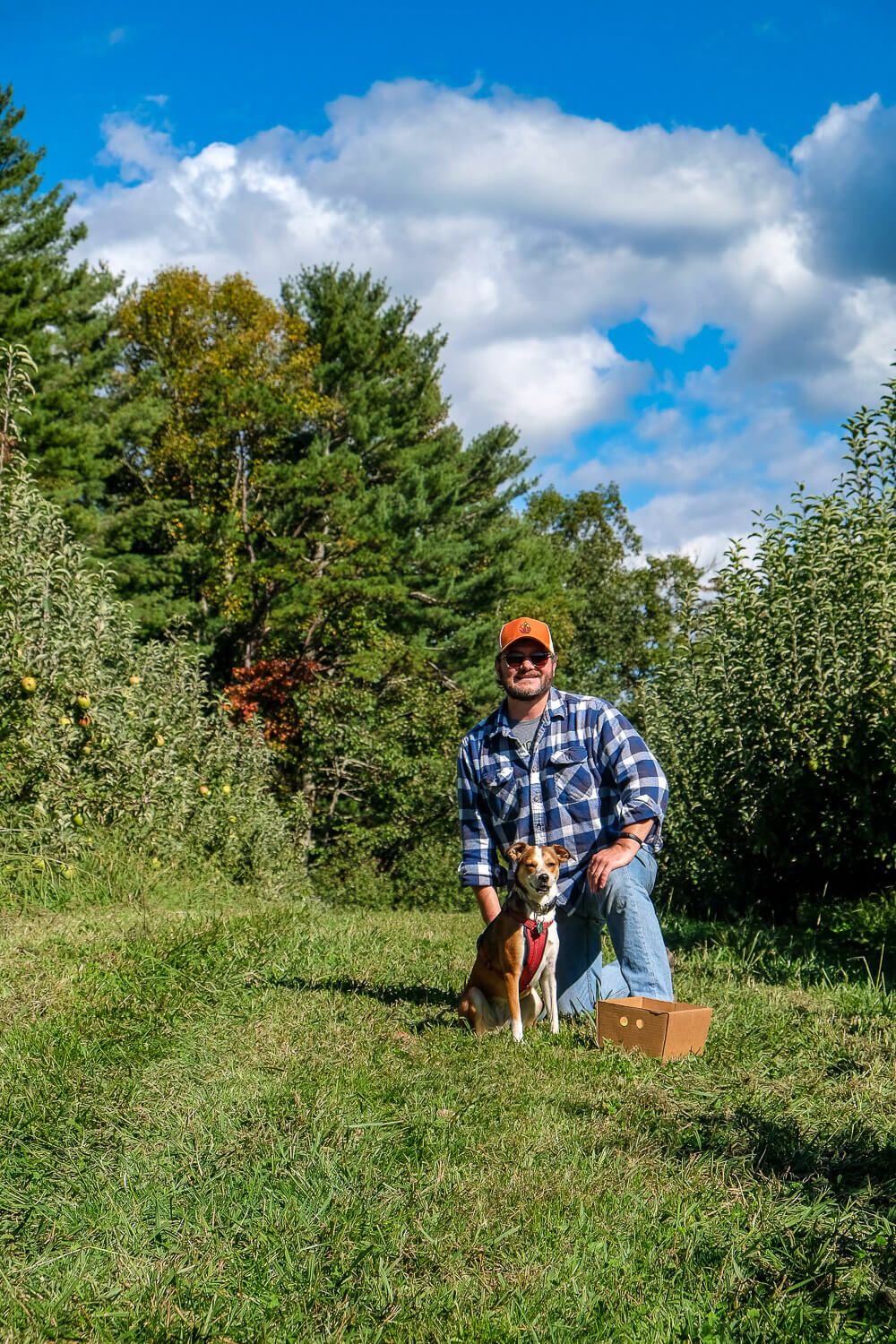 stepps orchard