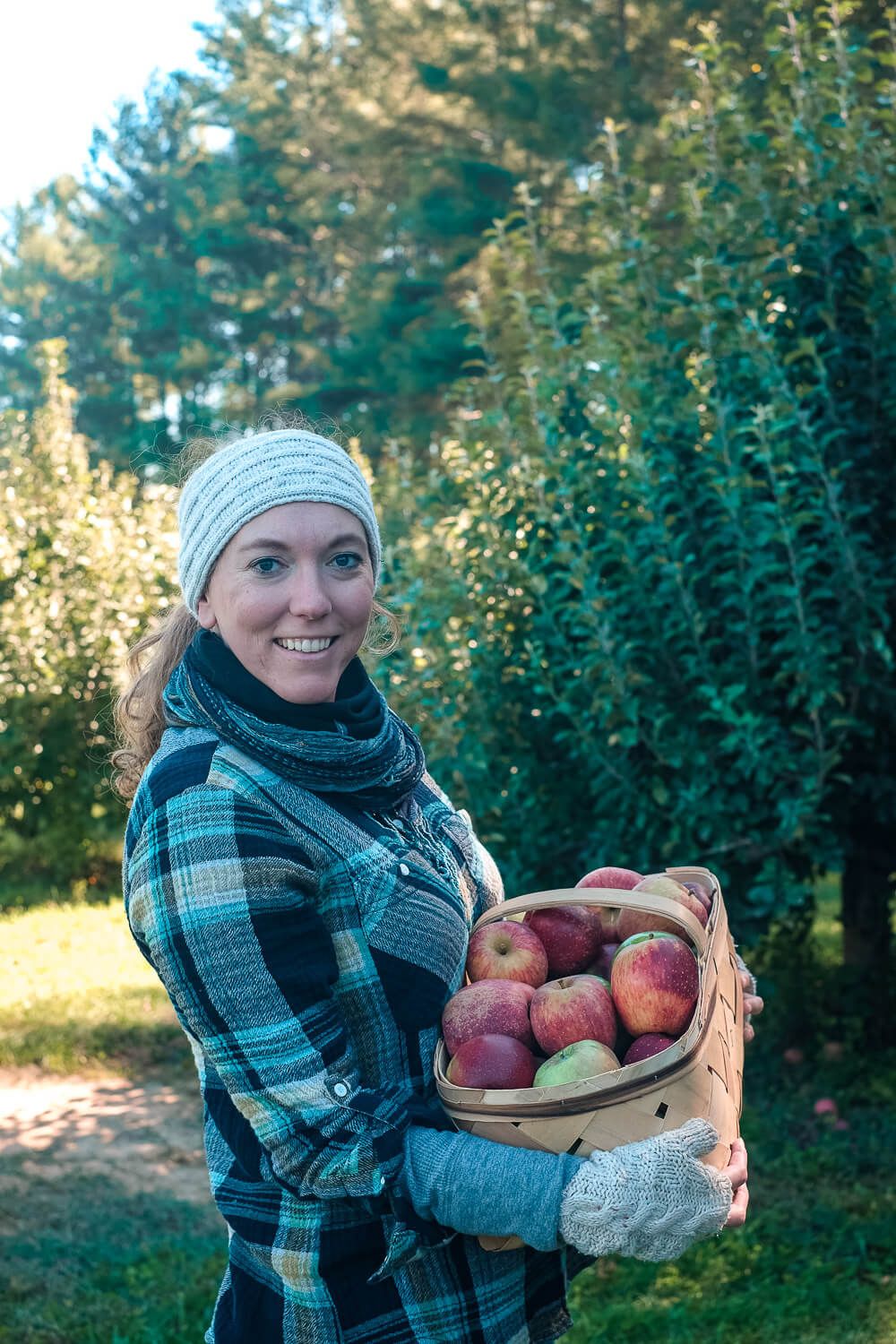 stepps orchard