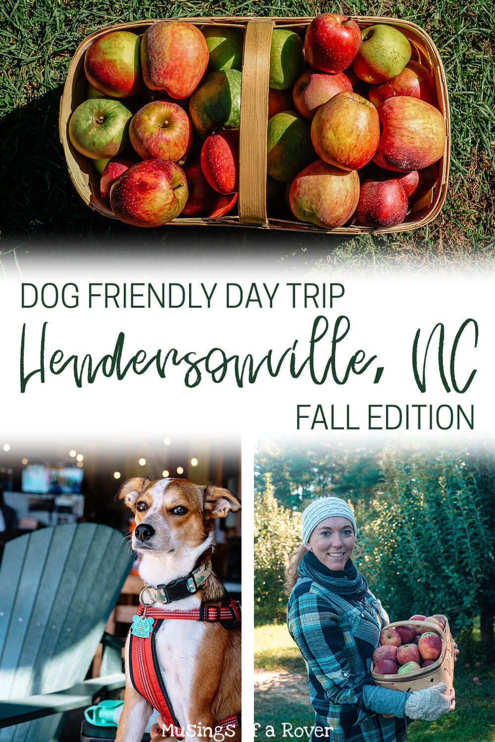 Hendersonville, NC has all of your favorite fall activities. Apple picking, orchards, corn mazes, pumpkin patches, apple doughnuts, breweries, ciders, wineries, and more. Here’s how to spend the perfect fall afternoon in Hendersonville.