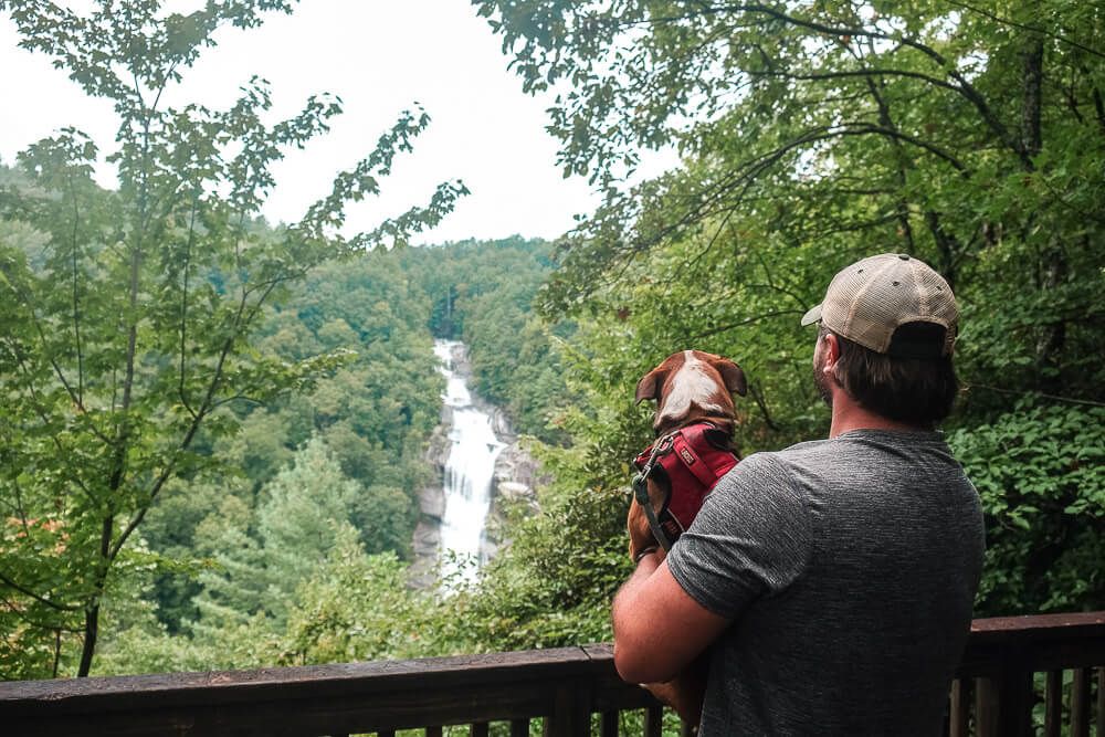 lower whitewater falls overlook