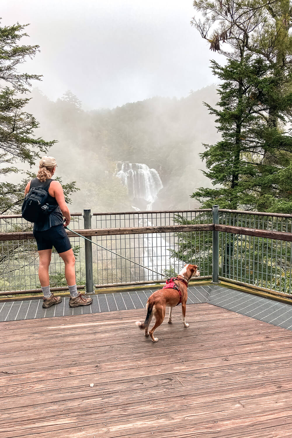 upper whitewater falls overlook