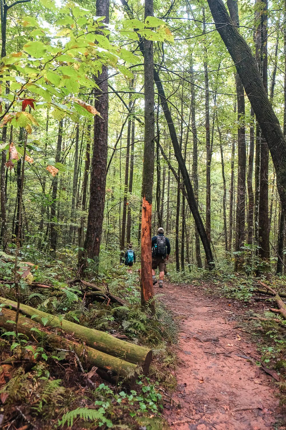 lower whitewater falls trail