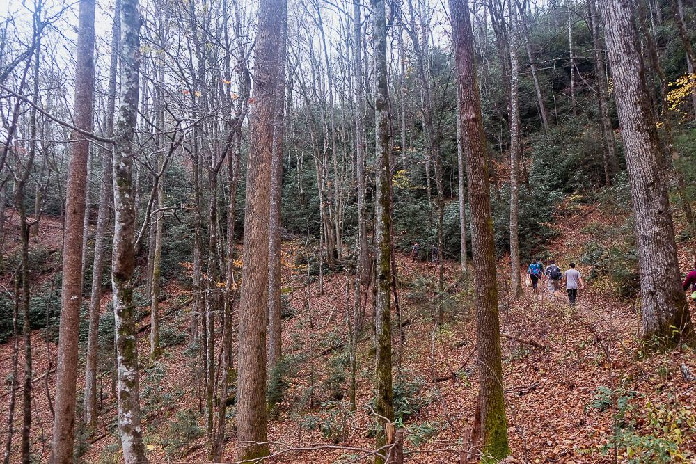 Looking Glass Rock hike