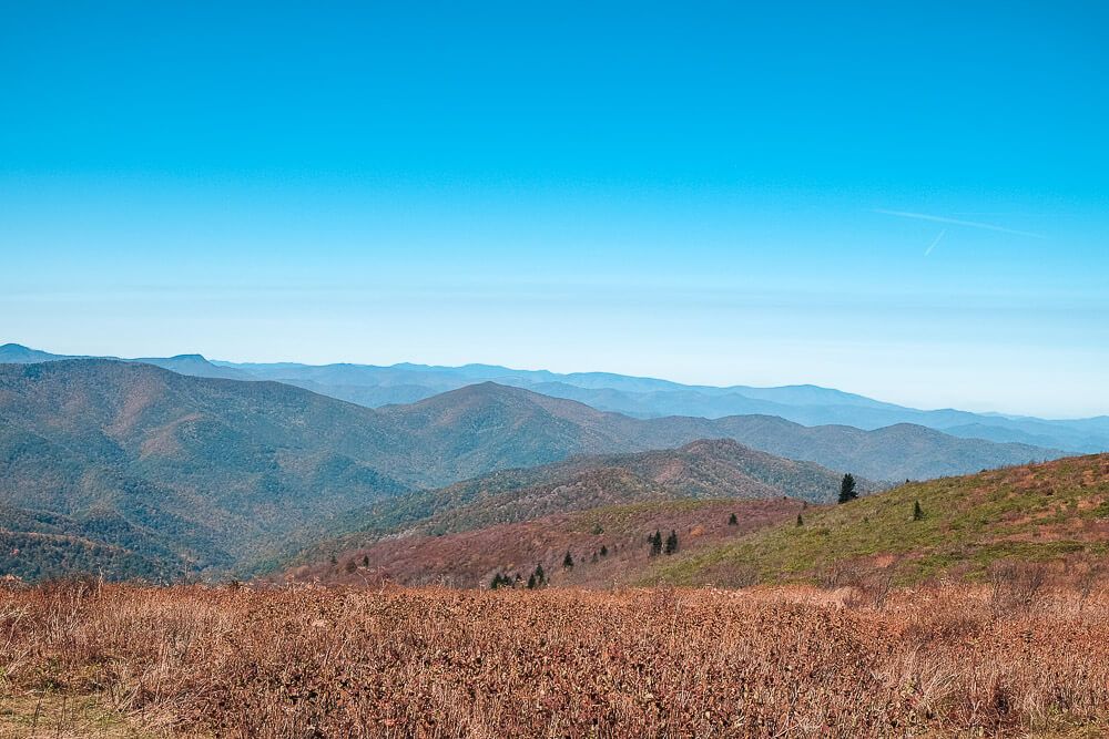 black balsam knob trail