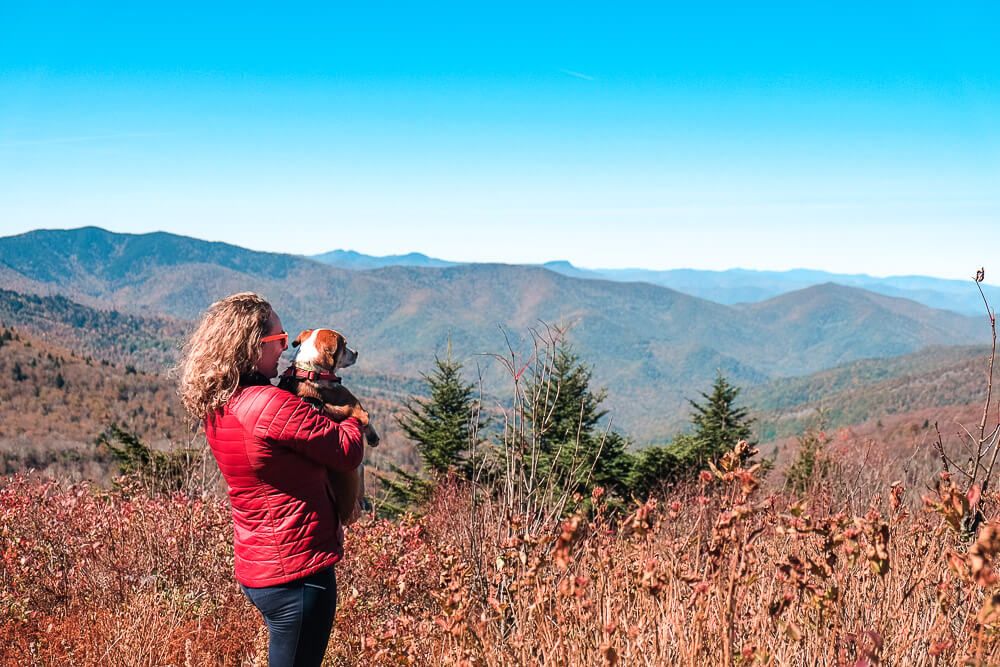 black balsam knob trail