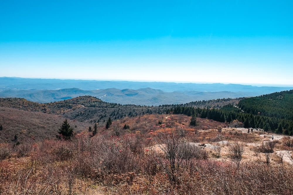 black balsam knob trail