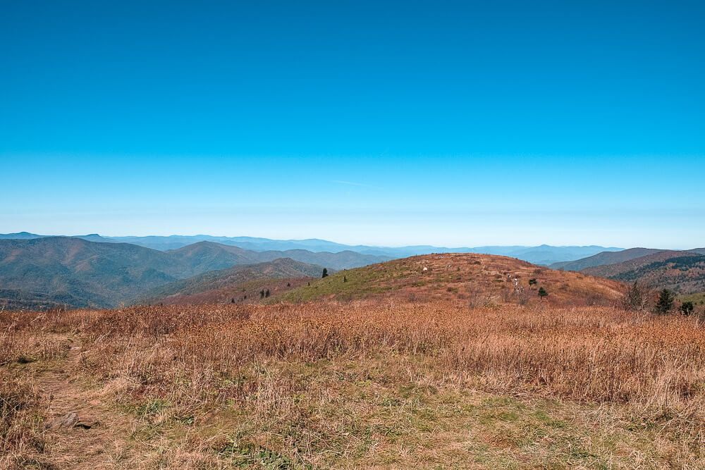 black balsam knob trail