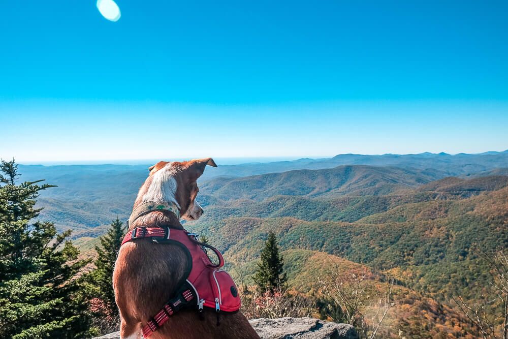 view from Devils Courthouse