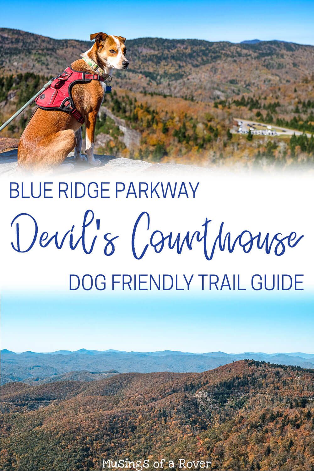 Looking for a day trip from Greenville, SC. One of the best things to do is to head to the Blue Ridge Parkway and hike this easy trail to to the top of the Devil’s Courthouse. This out and back hike is less than a mile and has some of the best views in the region. And it's dog friendly!