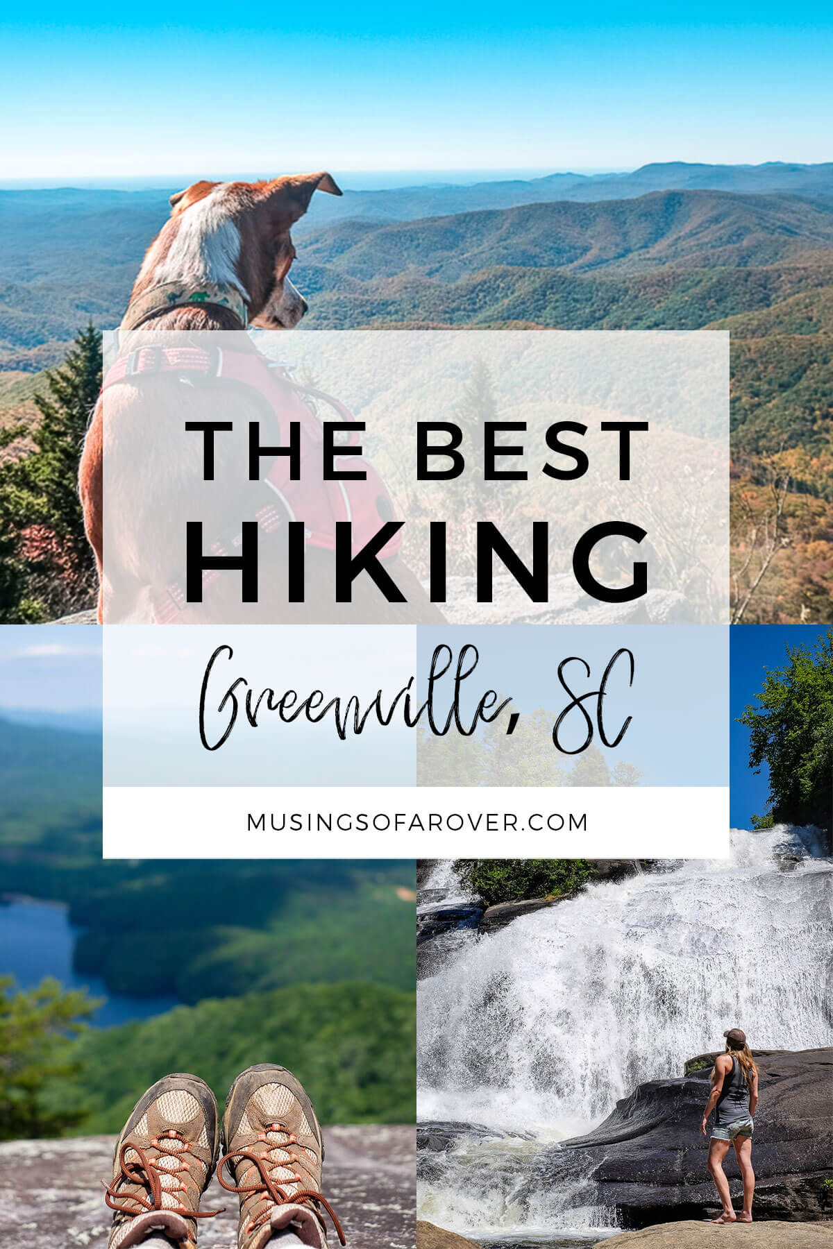 Are you looking for the best trails near Greenville, SC? Discover what South Carolina's (and North Carolina's) State Parks, Forests, and Preserves have to offer!