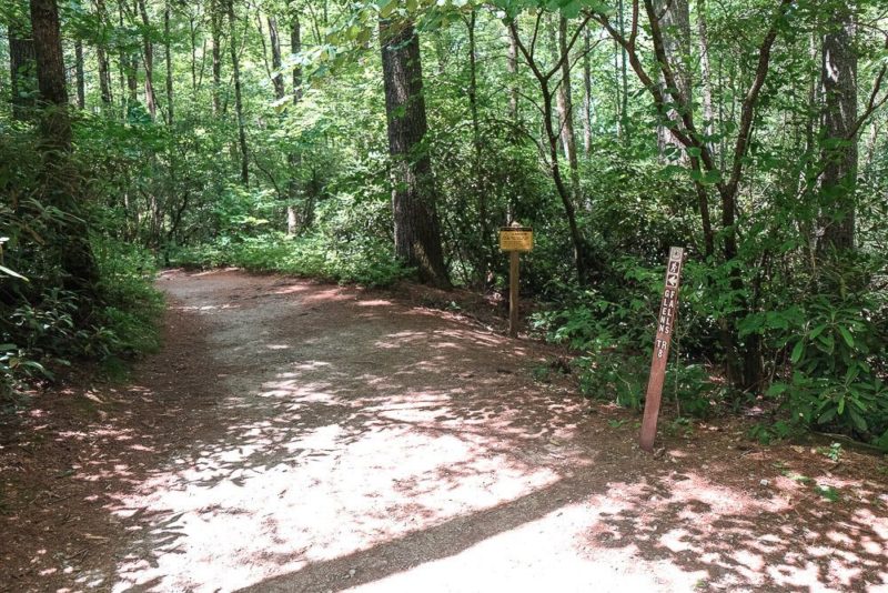 Hiking the Glenn Falls Trail near Highlands, NC [Trail Guide]