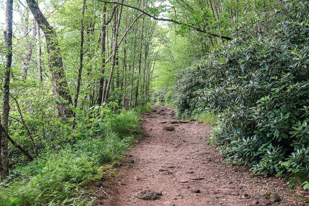 whiteside mountain trail