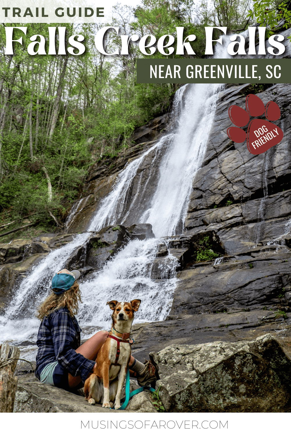 Want to visit one of the best waterfalls near Greenville, SC? Falls Creek Waterfall in the Mountain Bridge Wilderness Area makes a perfect day trip! At 125ft it's one of the most impressive waterfalls in the region. And this hike is dog friendly!