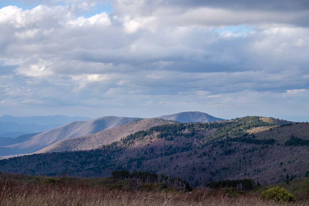 pisgah national forest