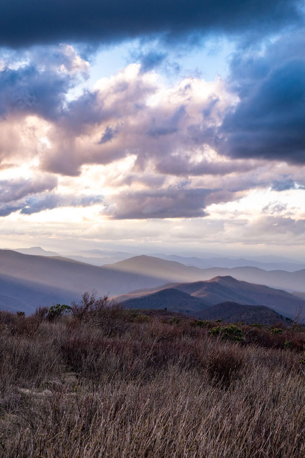 pisgah national forest