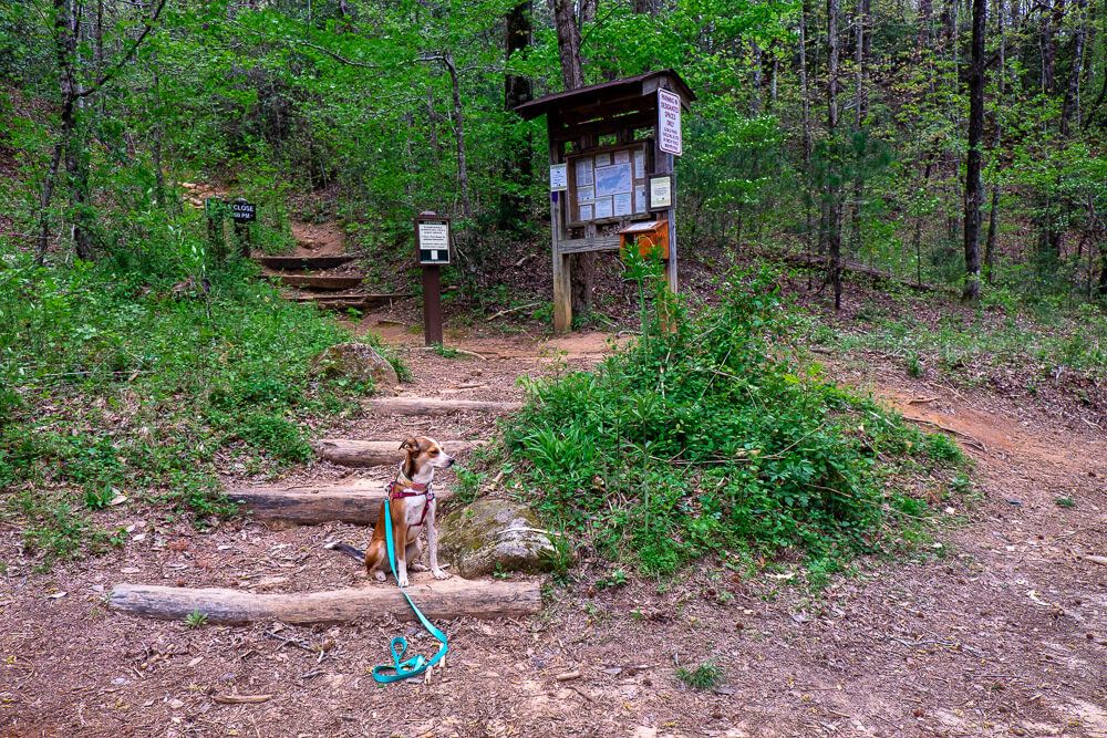 falls creek trailhead