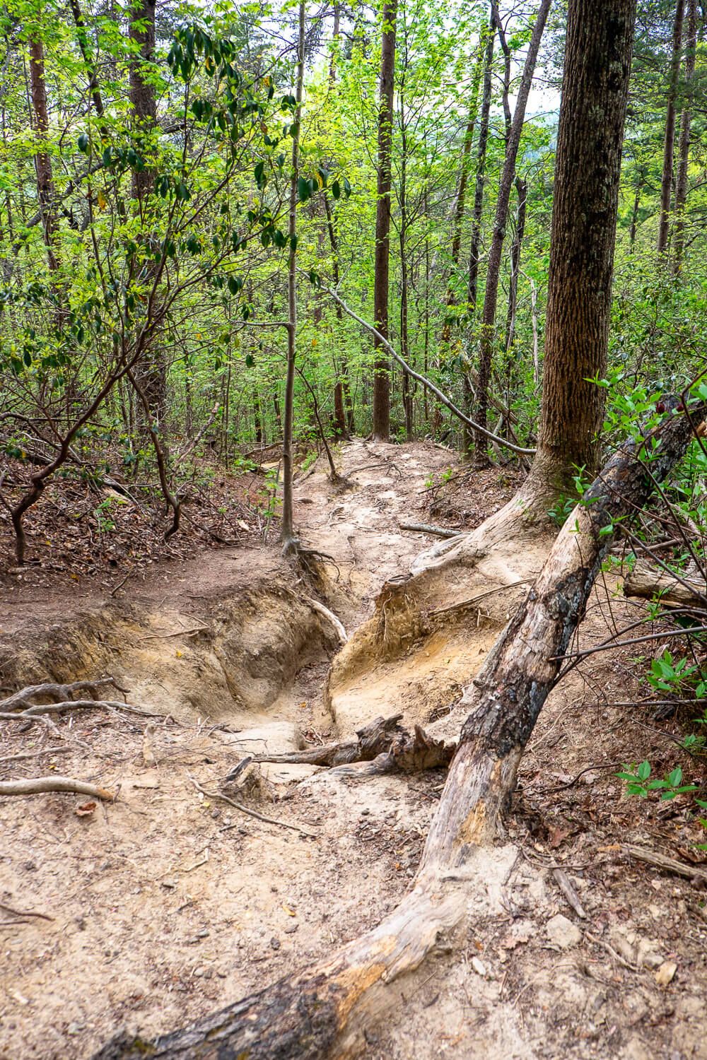 falls creek trail