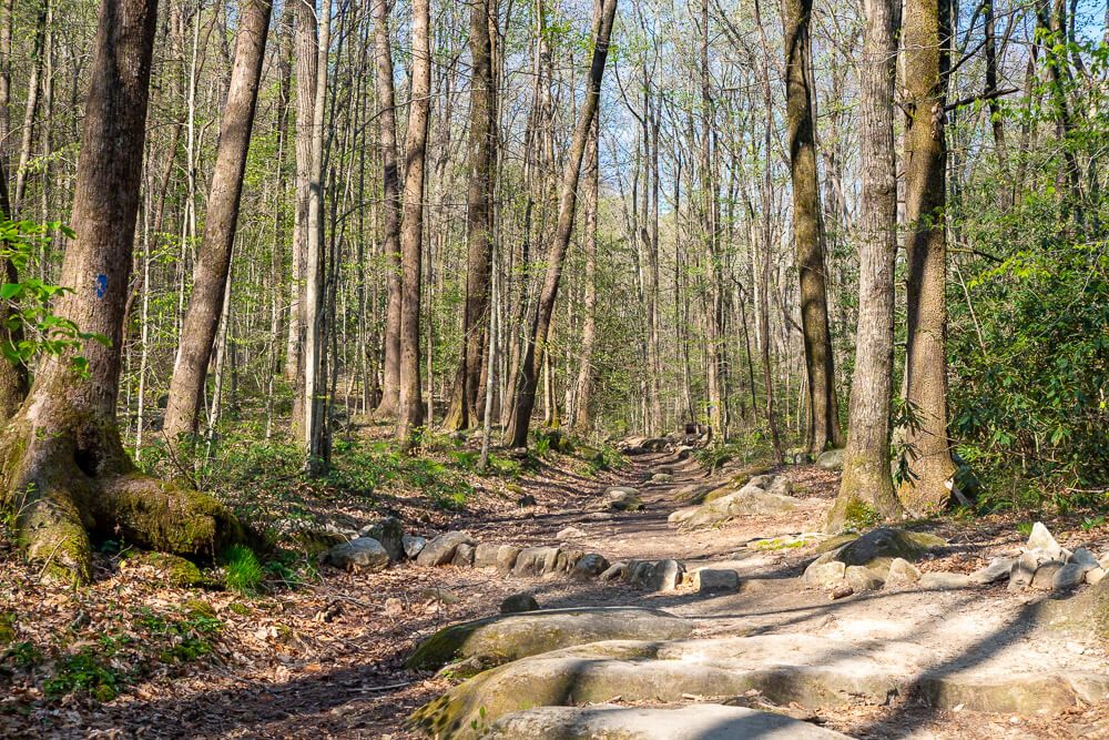 jones gap trail