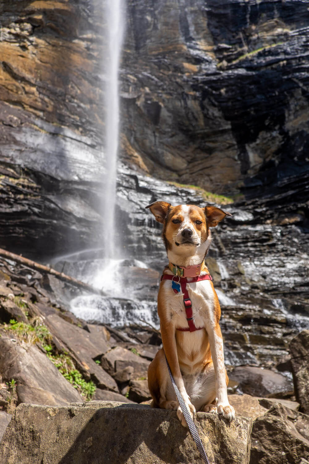 rainbow falls in jones gap state park