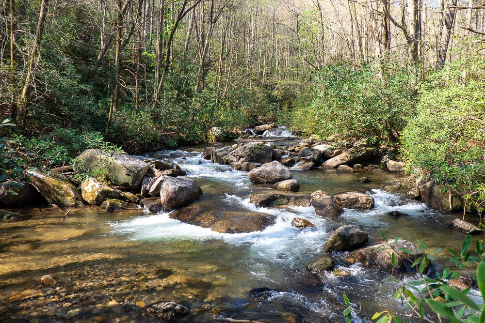 middle saluda river