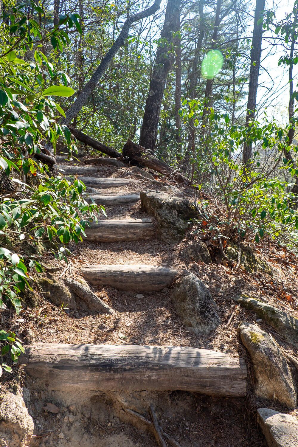 rainbow falls trail