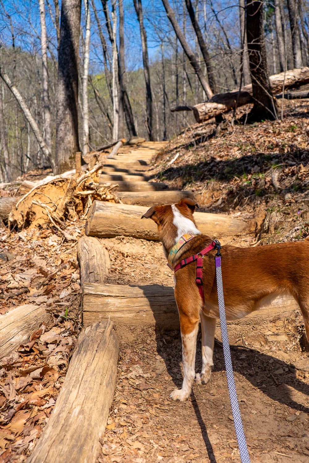 rainbow falls trail