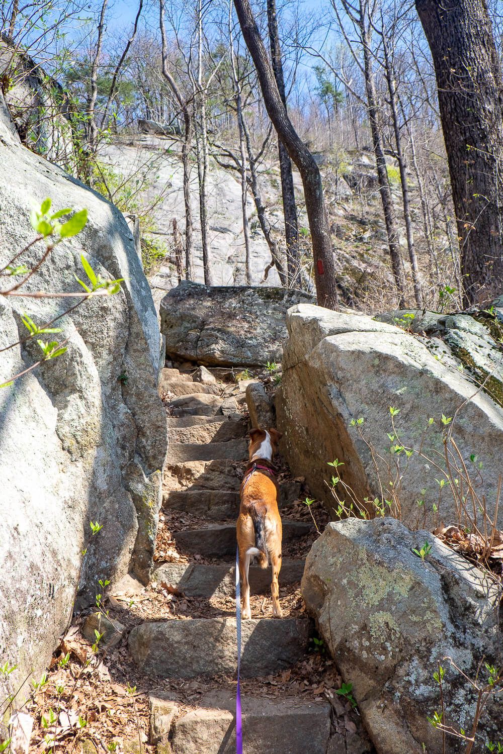 rainbow falls trail