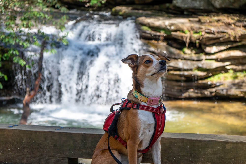 table rock state park