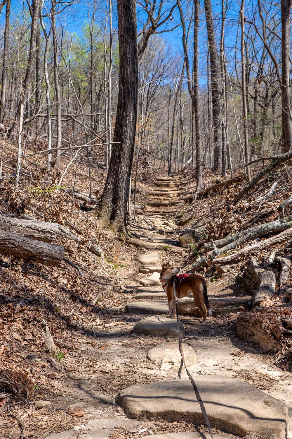 table rock trail