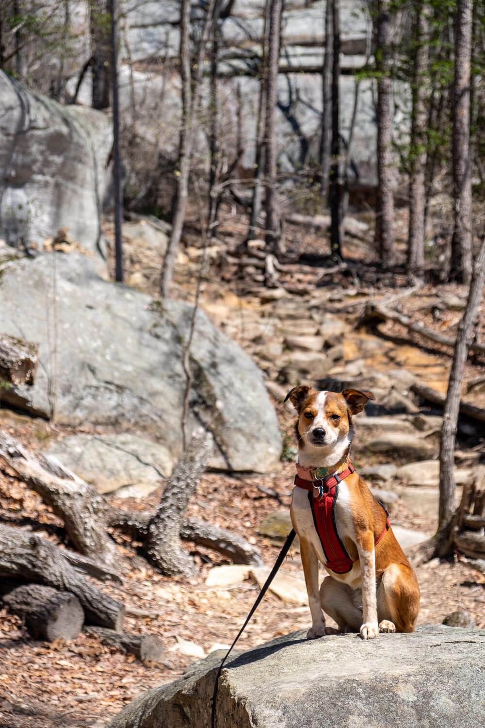 table rock trail