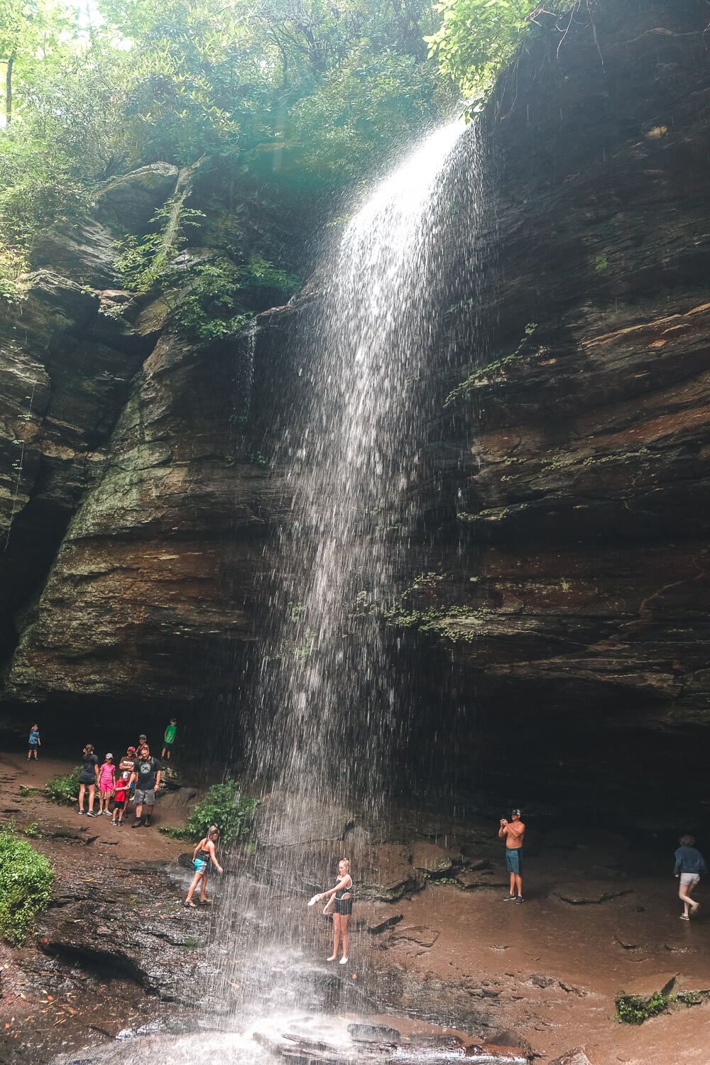 moore cove falls in pisgah national forest