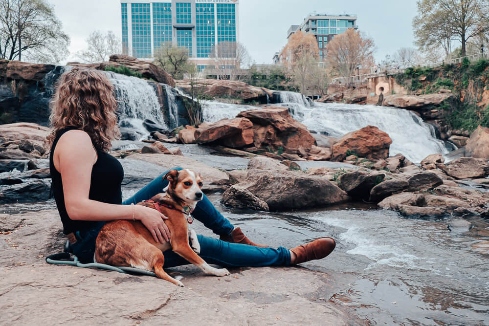 reedy river falls in greenville, sc