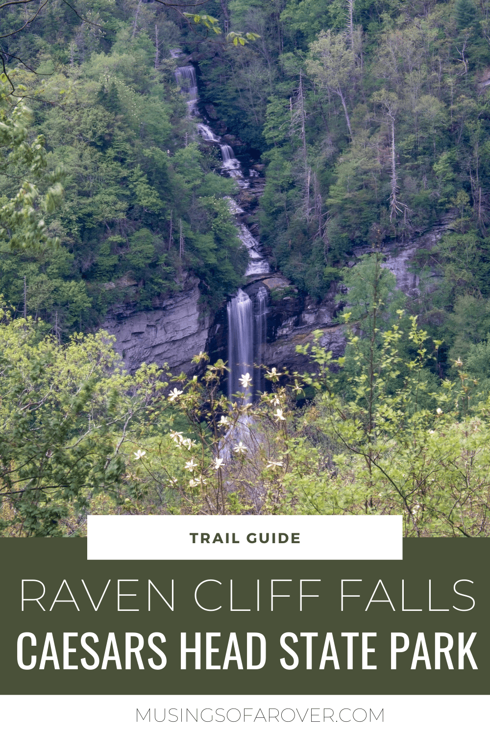 Want to visit one of the tallest waterfalls in South Carolina? Raven Cliff Falls in Caesars Head State Park is where you want to go. And the hike to the overlook is relatively short, flat, and dog friendly. But it is popular. Find out what you need to know!