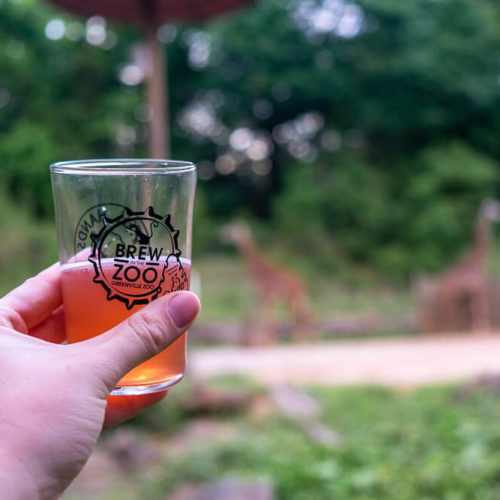 Craft Beer Tasting at Brew in the Zoo [Review]