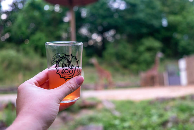 Visiting Greenville? A Local’s Guide Of What To Do In Greenville SC