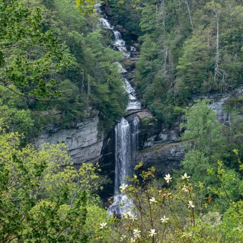 Hike to the Raven Cliff Falls Overlook [Trail Guide]