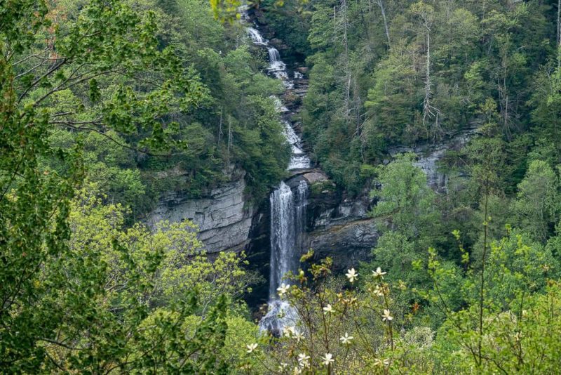 Hike to the Raven Cliff Falls Overlook [Trail Guide]