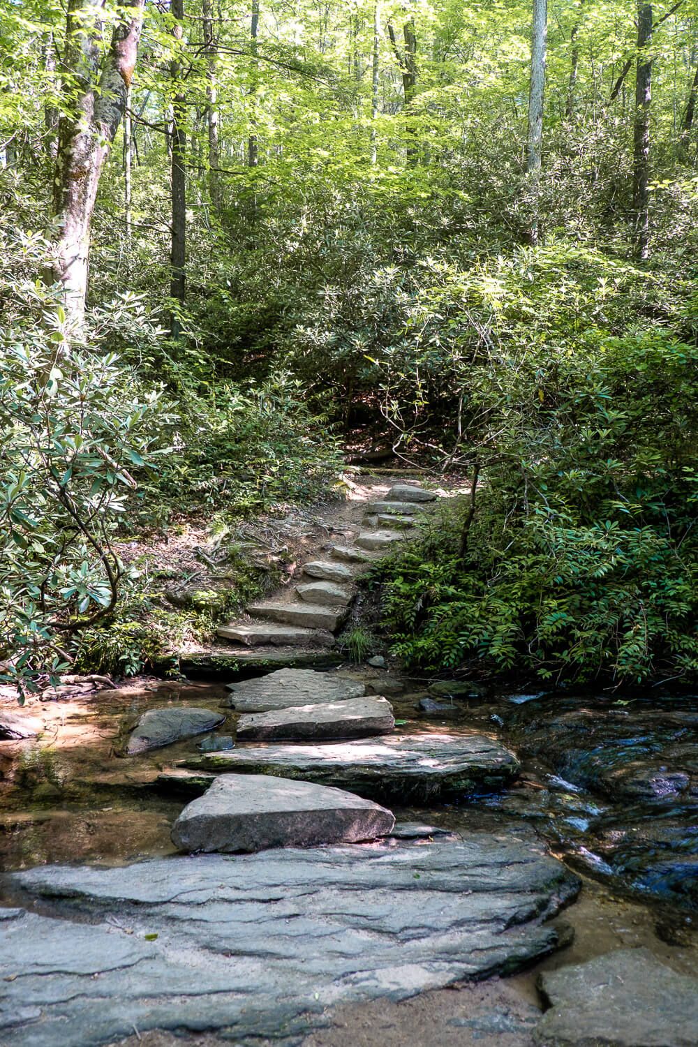 wildcat wayside nature trail