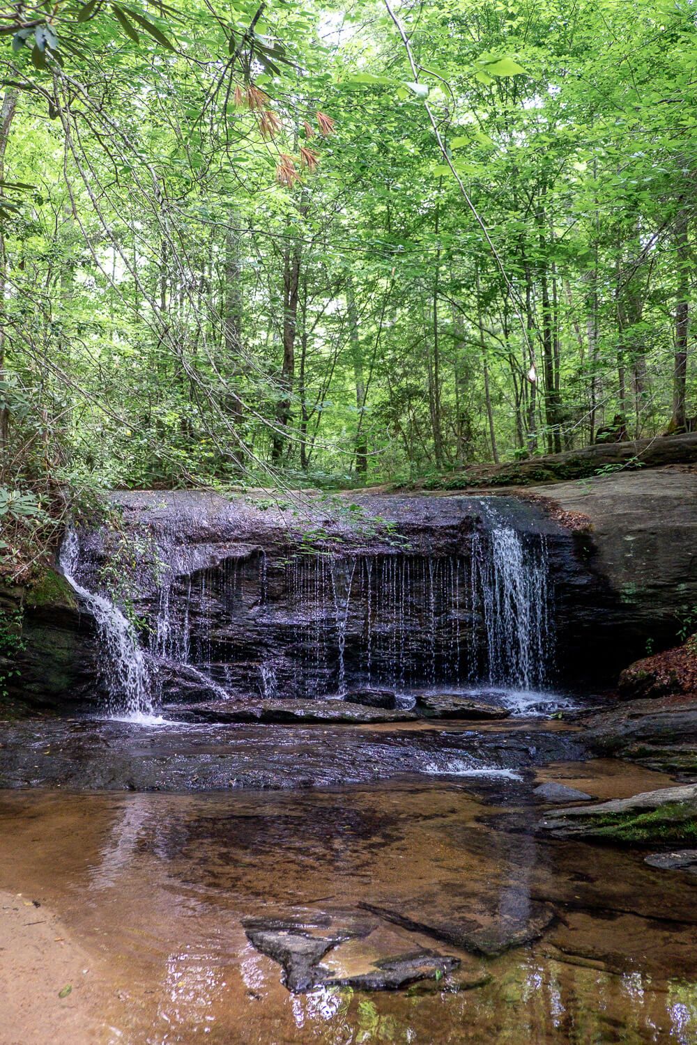 wildcat wayside waterfall