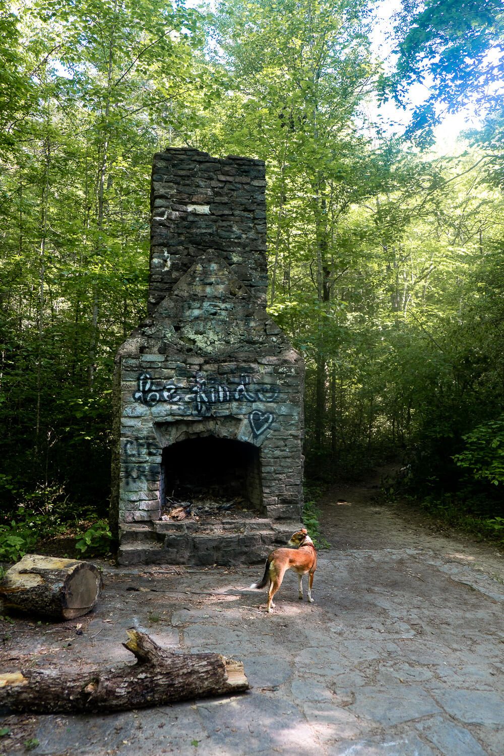 wildcat wayside nature trail