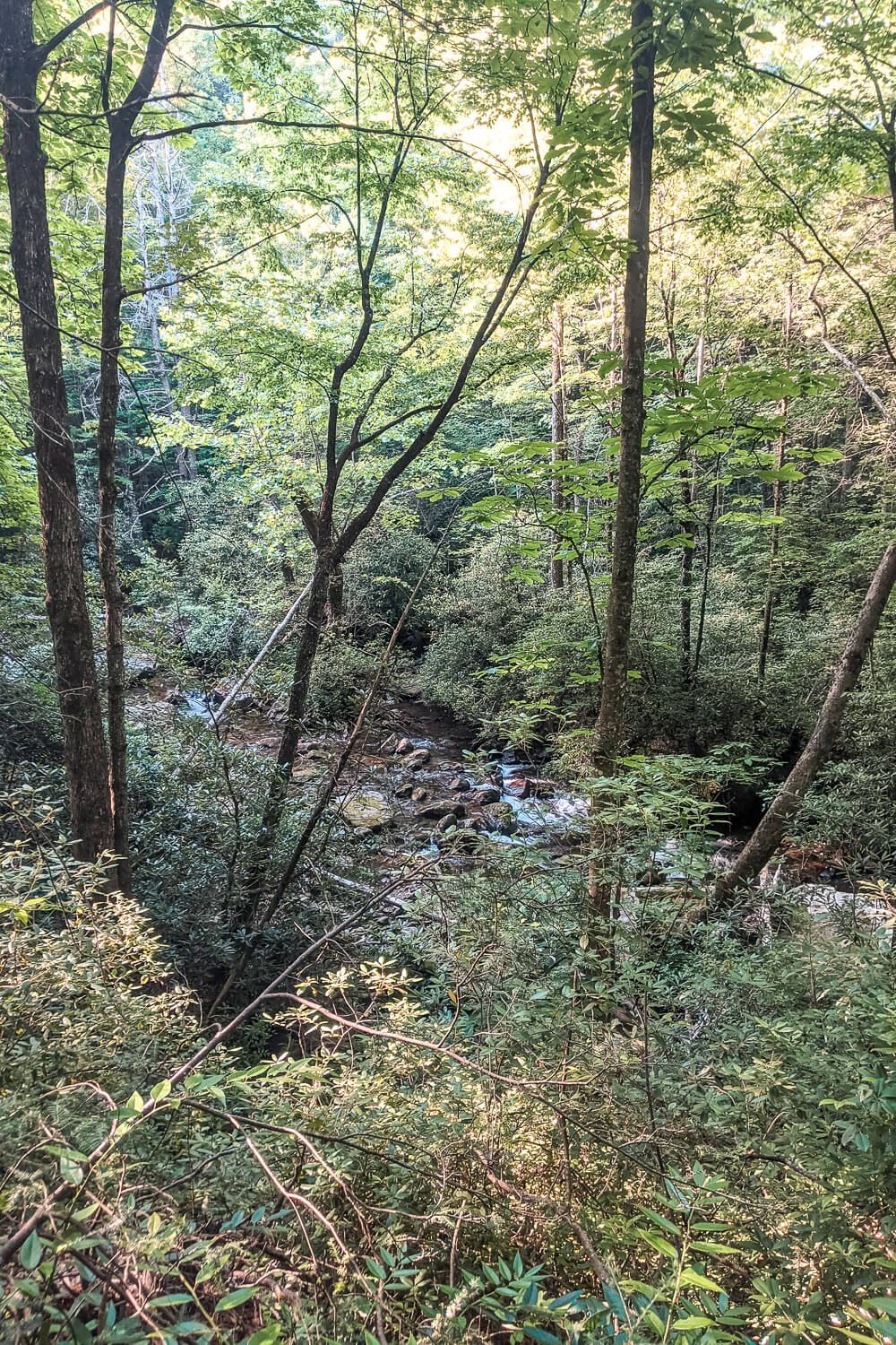 jones gap trail