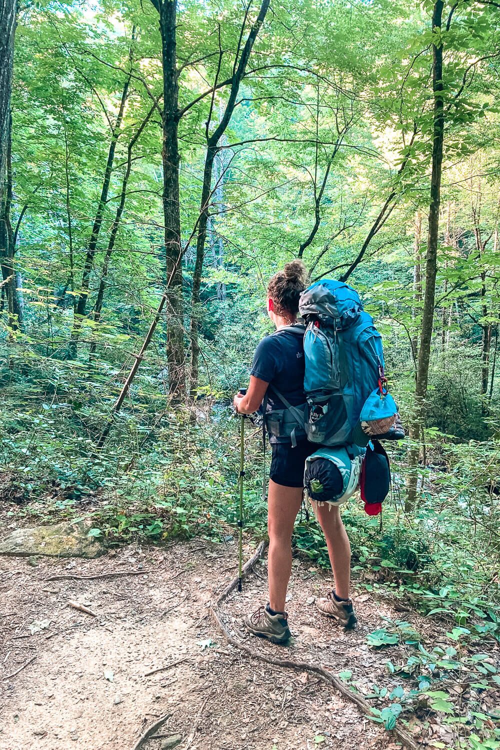 jones gap trail