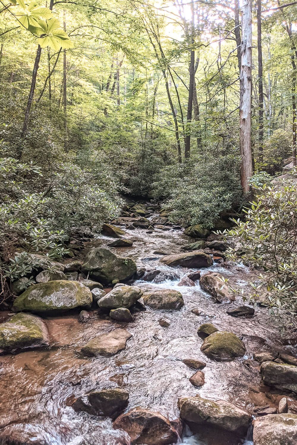 jones gap trail