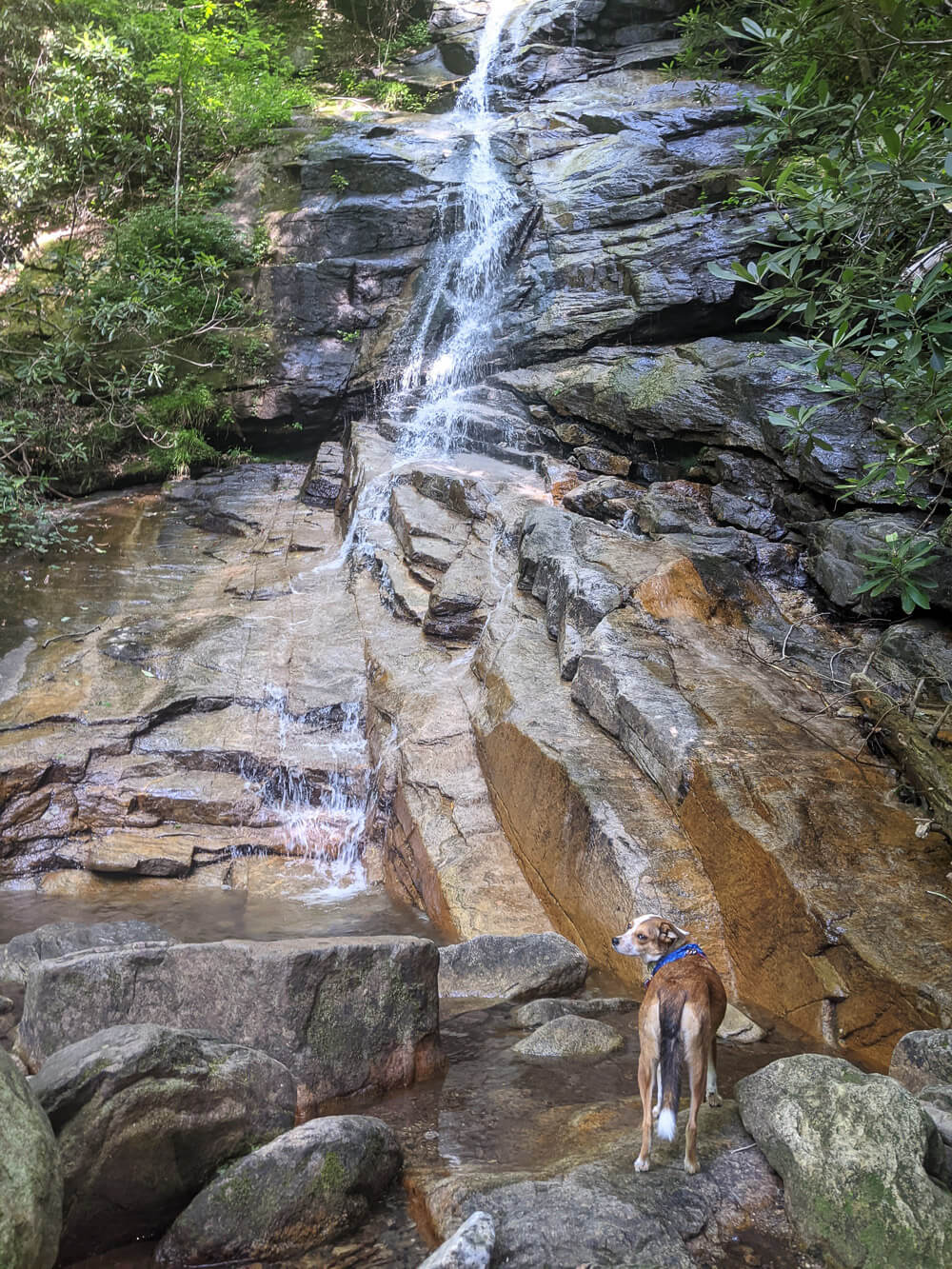 jones gap waterfall