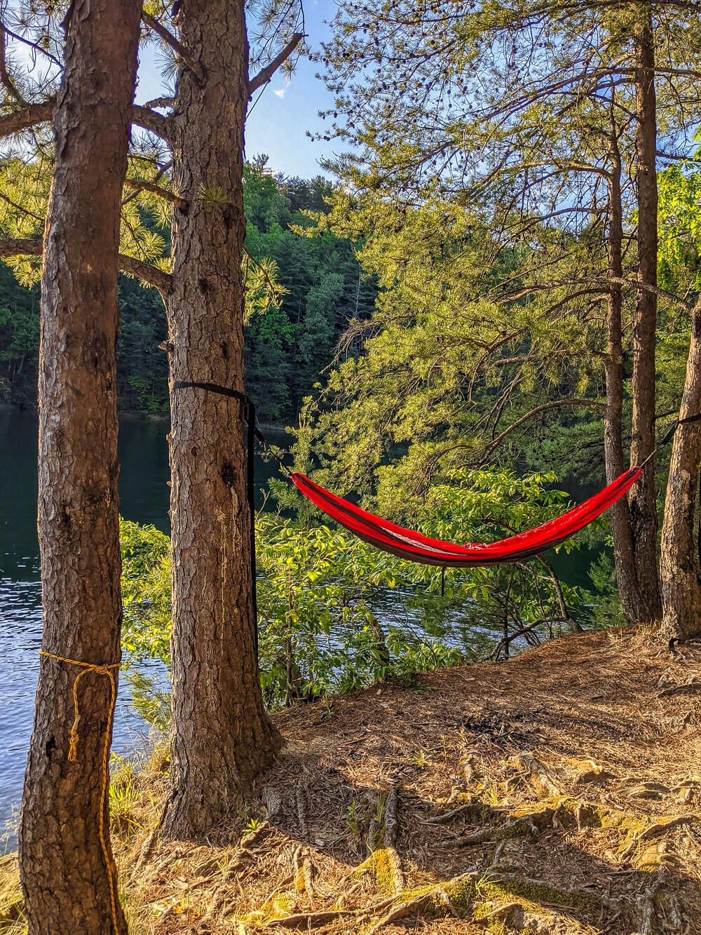 hammock