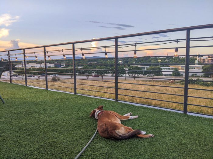 hopping greenville - rooftop bar